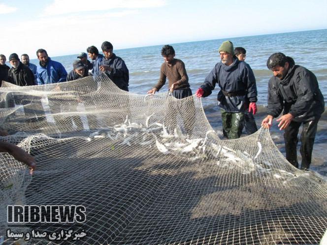 افزایش چشمگیر صید ماهیان استخوانی در گیلان