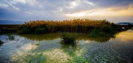 تخفیف ویژه هزینه اقامت مسافران نوروزی در استان مرکزی تخفیف ویژه هزینه اقامت مسافران نوروزی در استان مرکزی