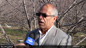 کاشت ارقام جدید درختان مثمر در استان اردبیل