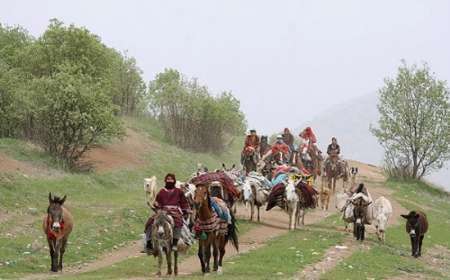 شناسایی ۲۰۰ کانون اسکان عشایر در فارس