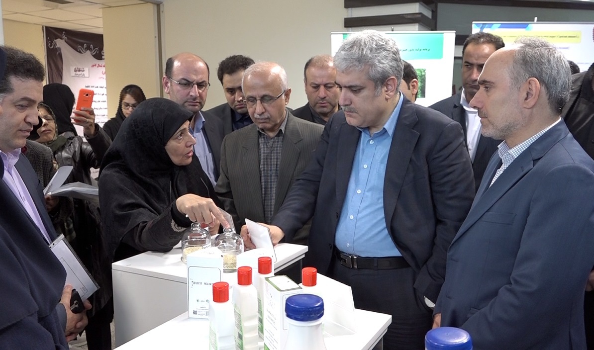 اختصاص اعتبار برای تقویت شرکت های دانش بنیان