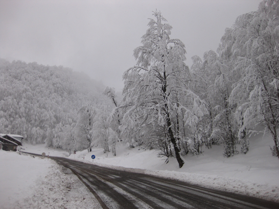 طبعیت برفی ديلمان + تصاویر طبعیت برفی ديلمان + تصاویر