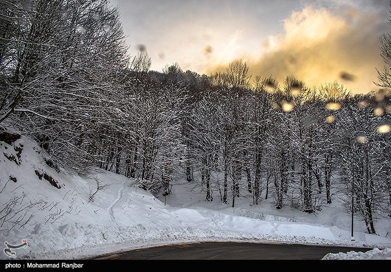 طبعیت برفی ديلمان + تصاویر طبعیت برفی ديلمان + تصاویر