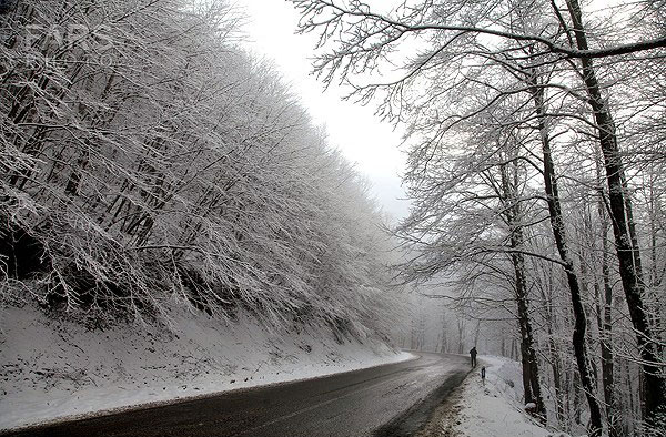 طبعیت برفی ديلمان + تصاویر طبعیت برفی ديلمان + تصاویر