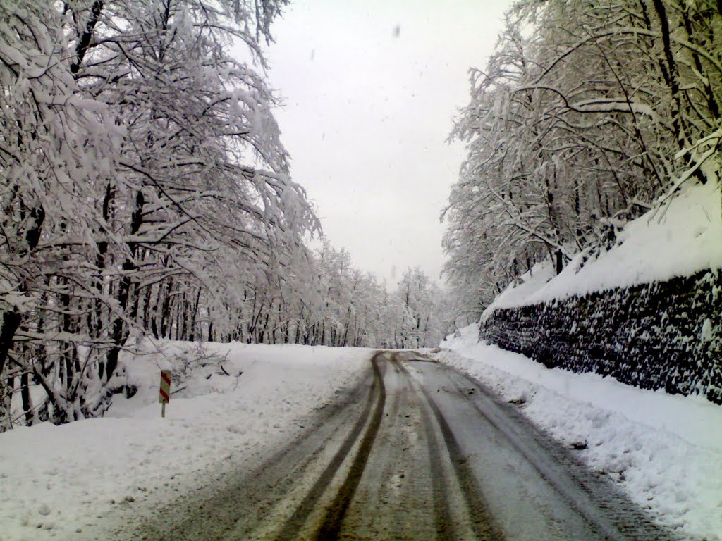 طبعیت برفی ديلمان + تصاویر طبعیت برفی ديلمان + تصاویر