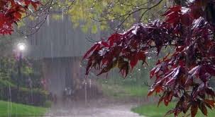 سه روز بارانی در استان یزد سه روز بارانی در استان یزد