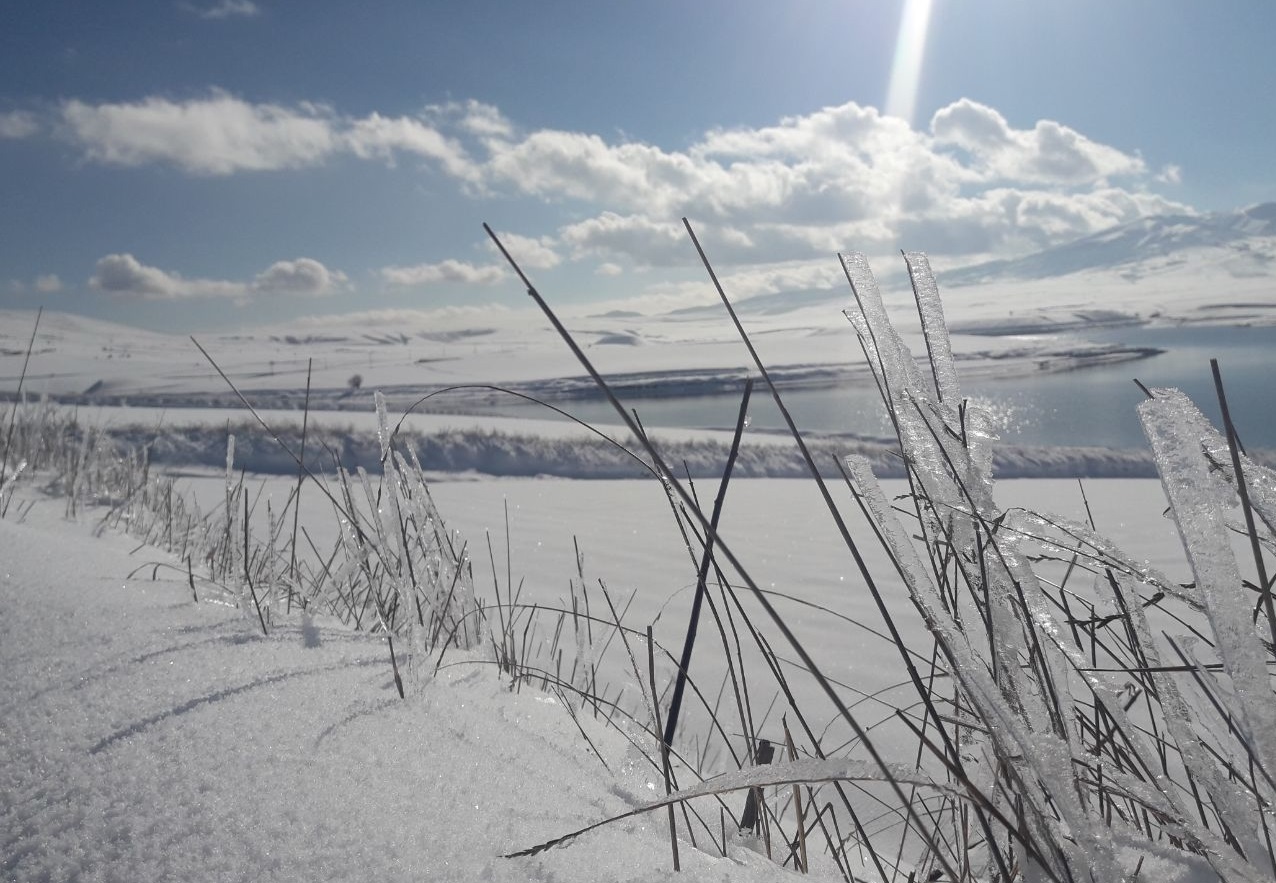 پیش بینی یخبندان در سمنان