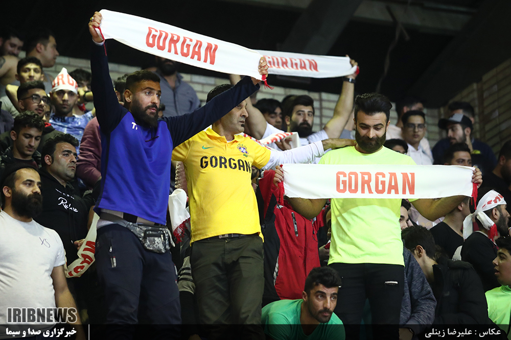 برد بزرگ گرگان در خانه