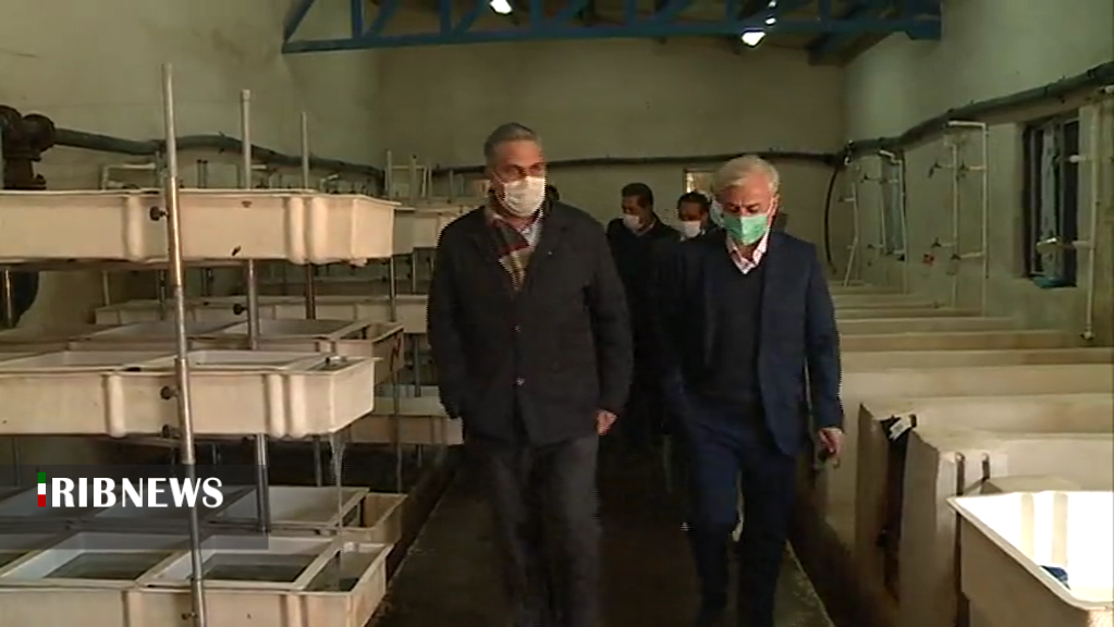 آبزی پروری ظرفیتی بزرگ و سودآوردر کرمان آبزی پروری ظرفیتی بزرگ و سودآوردر کرمان