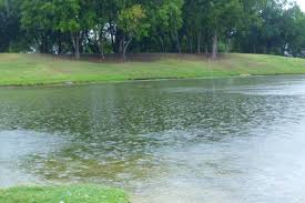 باران در طبیعت زیبای ایران