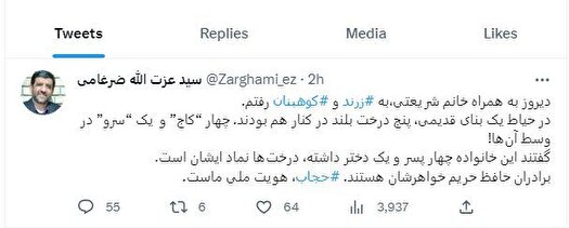 حجاب هویت ملی ماست/ ماجرای ۴ درخت «کاج» و یک درخت «سرو» در یک خانه قدیمی