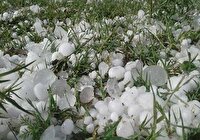 خسارت قابل توجه تگرگ در چالدران