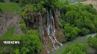 بیشه لرستان در راه ثبت جهانی