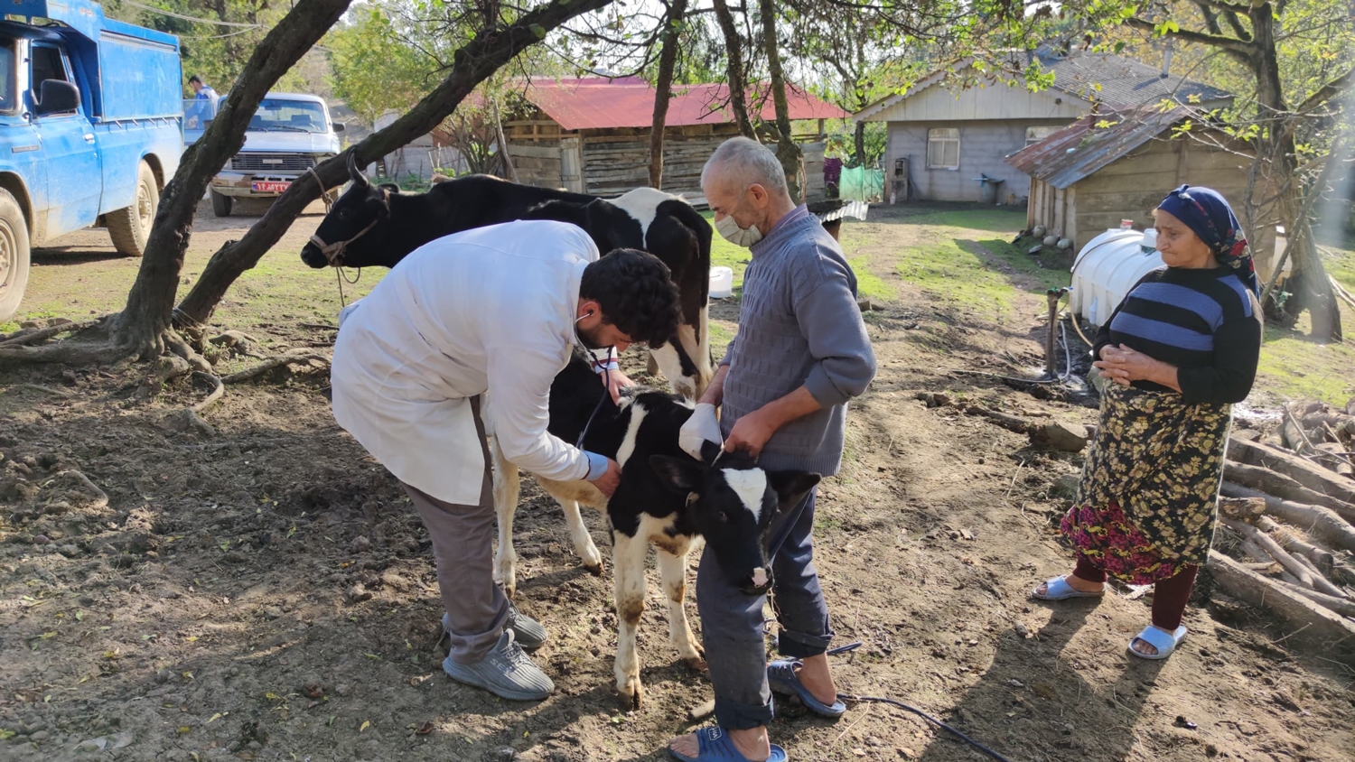 واکسیناسیون دام‌های سنگین و طیور در ۲ روستای رضوانشهر