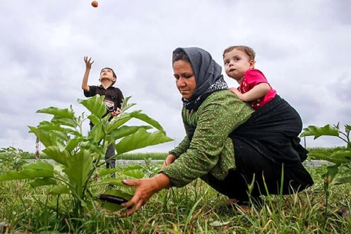 ۳۰ دی، آخرین مهلت تکمیل مدارک بیمه مادران دارای ۳ فرزند