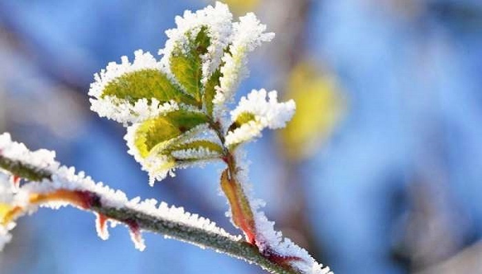 دمای هوا در زنجان افزایش می‌یابد