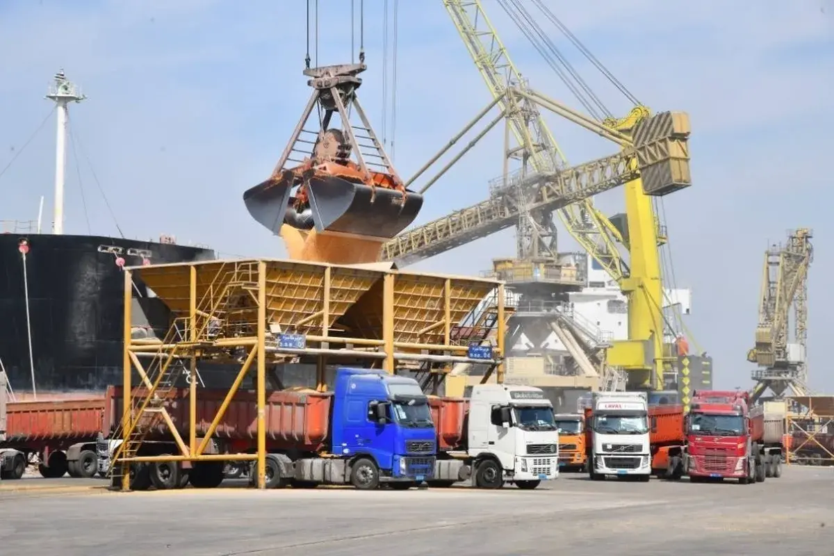 کشتی های حامل کالای اساسی ٢۴ ساعته تخلیه می شوند