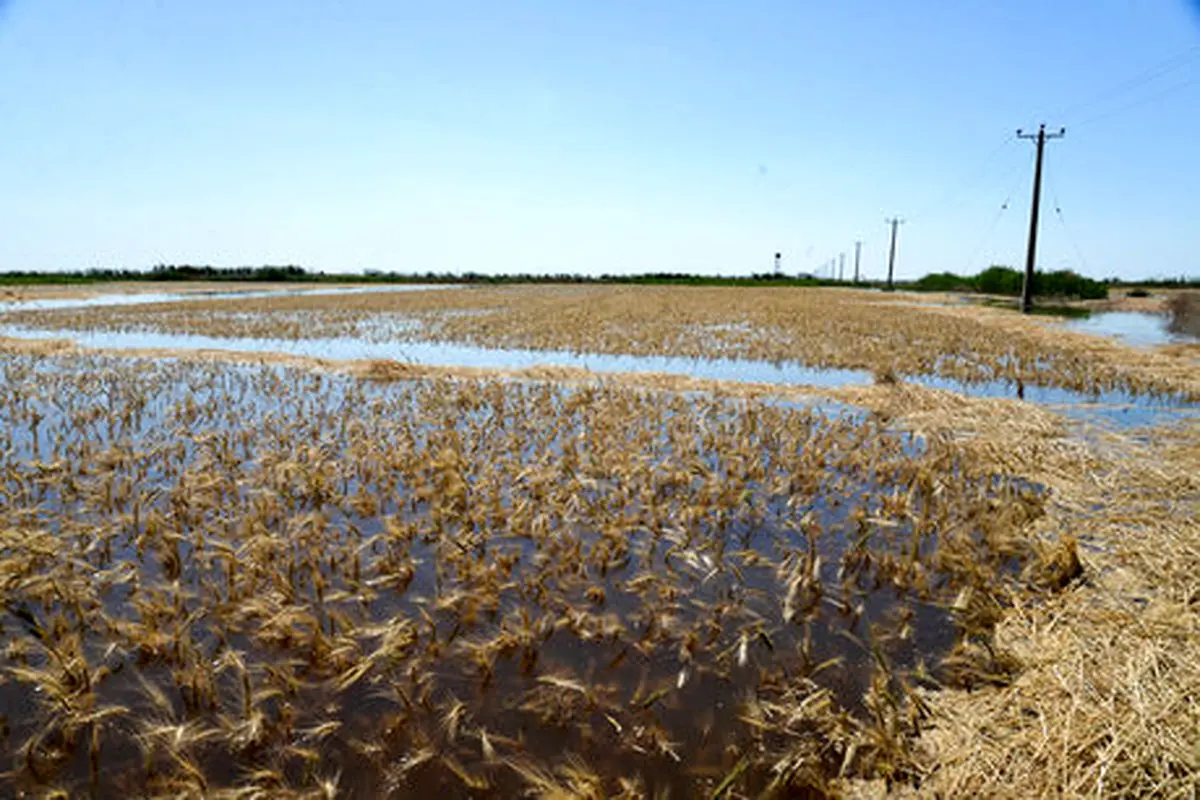 خسارت ۱۲۵ میلیاردی سیل به کشاورزی گراش