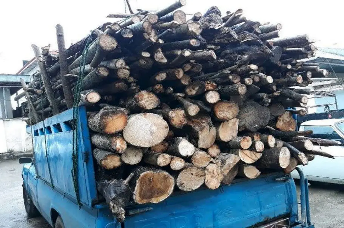 توقیف محموله چوب جنگلی فاقد مجوز در بوانات توقیف محموله چوب جنگلی فاقد مجوز در بوانات