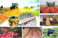 صادارت حدود ۴۲ هزار تن محصول کشاورزی از هرمزگان