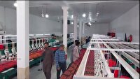 سرمایه گذاری در مسیرتولید واشتغال بومی