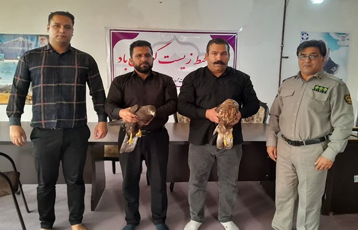 تحویل دو بهله سارگپه به محیط زیست شهرستان رومشکان