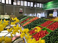 مدیریت اقتصادی دفاع مقدس ۱۲ روزه؛ الگویی برای آینده