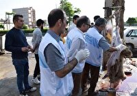 نظارت ۲۵ تیم دامپزشکی بر ذبح دام نذری در اردبیل