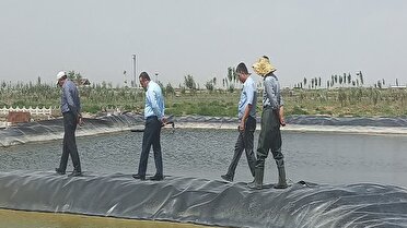 بهره برداری از اولین مزرعه پرورش آرتمیا در آذربایجان شرقی