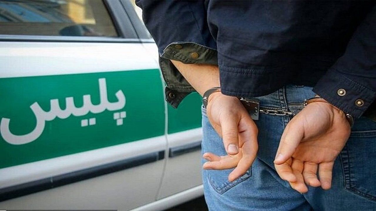 کشف ۲۰ فقره سرقت درون خودرو در ممسنی
