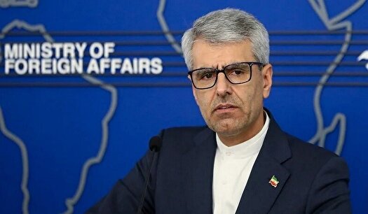 بقائی: حقیقت با تحریم سرکوب نمی‌شود