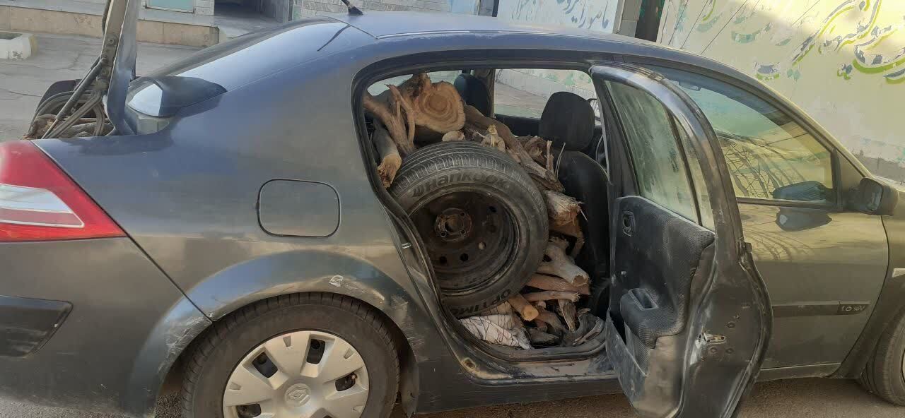 قاچاقچی چوب تاغ گرفتار در دام قانون