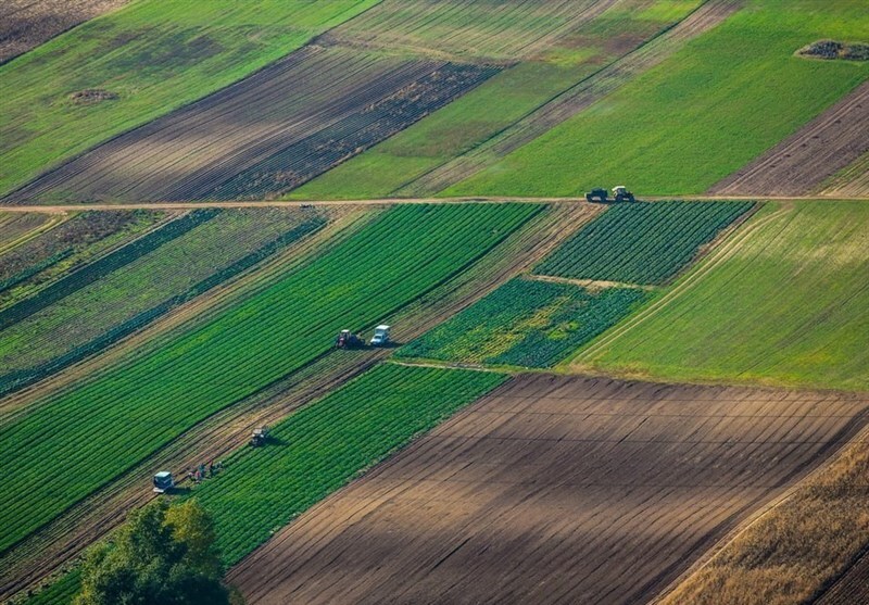 ایجاد اشتغال و کمک به تولید در خوزستان با واگذاری اراضی ملی ایجاد اشتغال و کمک به تولید در خوزستان با واگذاری اراضی ملی