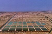 30 آذر آخرین مهلت احیای واحد های غیر فعال در مجتمع پرورش میگوی چوئبده آبادان