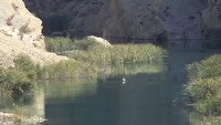 رهاسازی پلیکان مهاجر در رودخانه قره آغاج