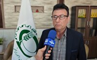 واگذاری ۸۴۷ هکتار زمینهای استان بوشهر برای ساختگاه نیروگاه خورشیدی