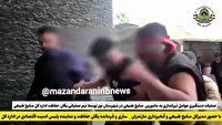 دستگیری ۴ عامل تیراندازی به مأموران منابع طبیعی نور