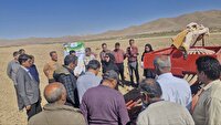 برگزاری کاروان ترویج بهره‌وری الگوی کشت در فارس