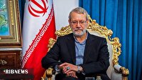 وزیر کشور پاکستان فردا با علی لاریجانی دیدار میکند