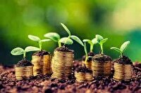 اختصاص ۳۲۳ میلیارد تومان اعتبارات به بخش کشاورزی خراسان جنوبی