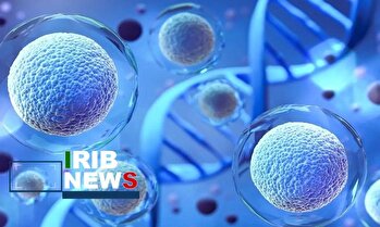 جشن نجات ۱۰ هزار جان با سلول‌های بنیادی