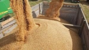 ممنوعیت استفاده از خودروهای فرسوده در حمل گندم در زنجان ممنوعیت استفاده از خودروهای فرسوده در حمل گندم در زنجان