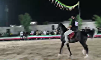 برگزاری همایش شو سواره شبانه در شهرستان شوش+فیلم