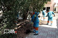 اجرای طرح ساماندهی و بازپیرایی محیط شهری در کیش